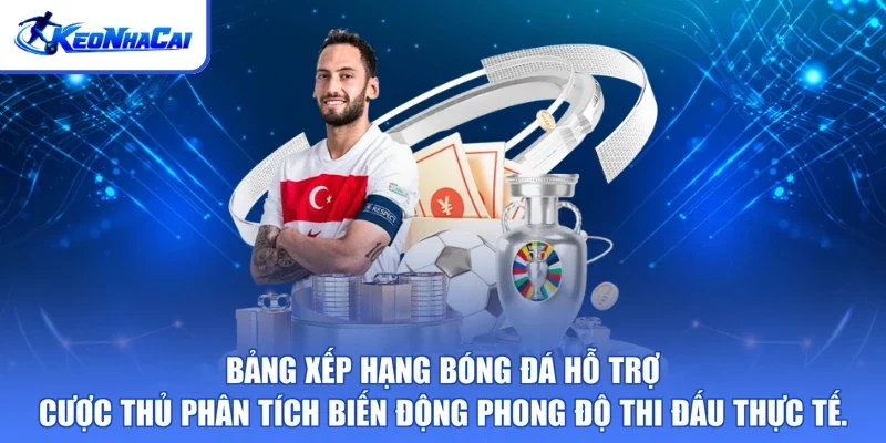 Bảng xếp hạng bóng đá hỗ trợ cược thủ phân tích biến động phong độ thi đấu thực tế.
