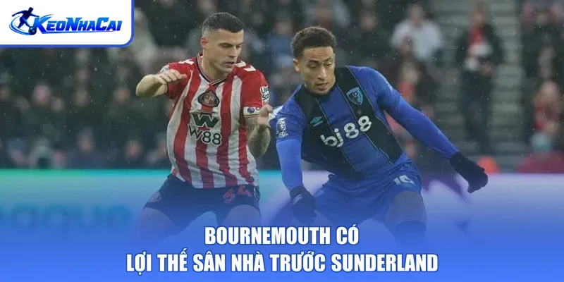 Bournemouth có lợi thế sân nhà trước Sunderland