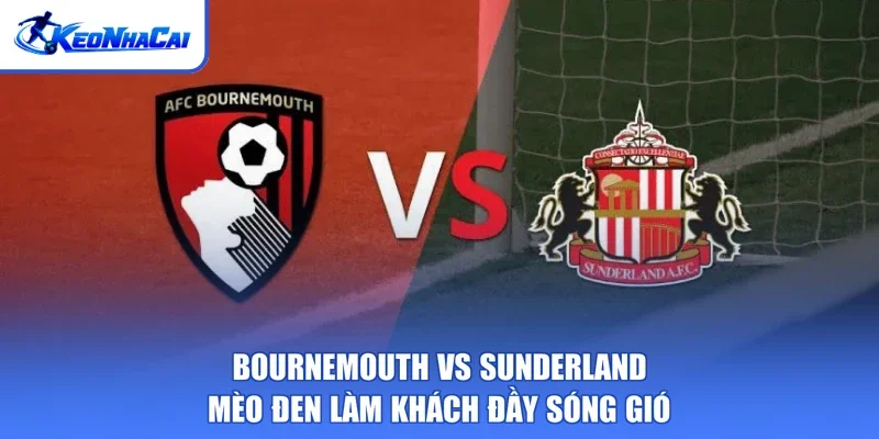 Bournemouth Vs Sunderland - Mèo Đen Làm Khách Đầy Sóng Gió