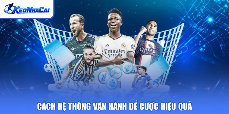 Cách hệ thống vận hành để cược hiệu quả