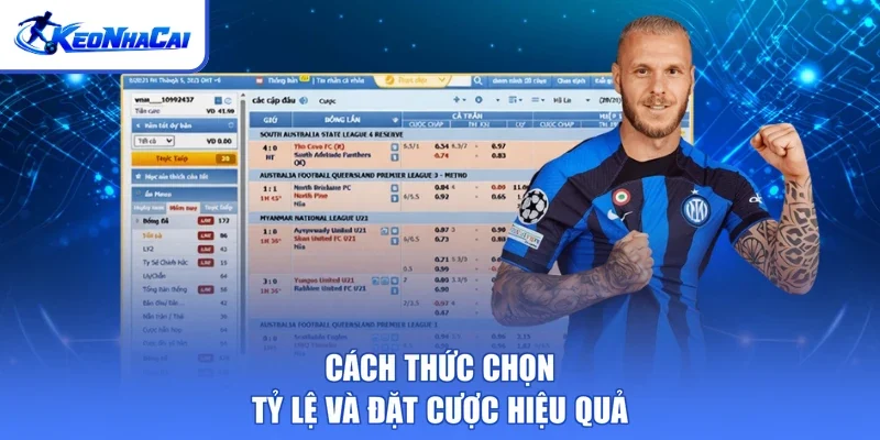 Cách thức chọn tỷ lệ và đặt cược hiệu quả
