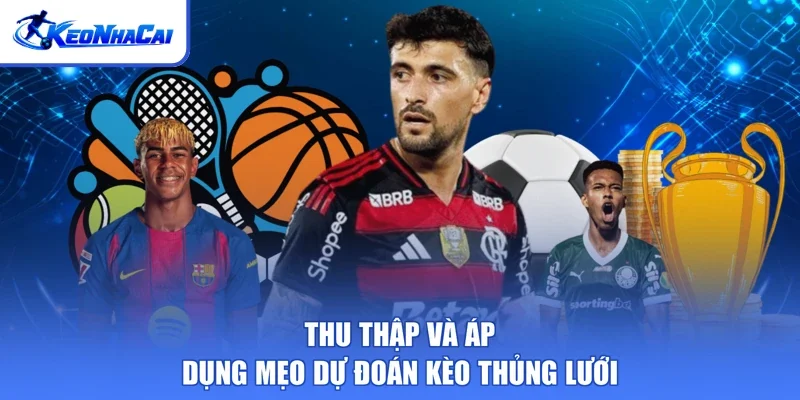 Thu thập và áp dụng mẹo dự đoán kèo thủng lưới