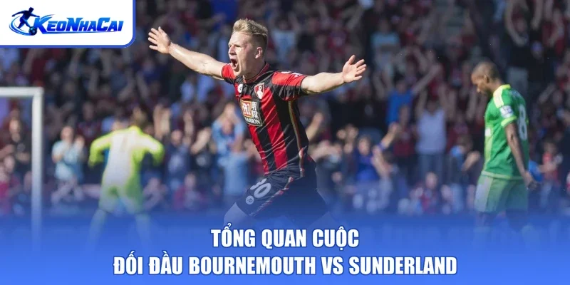 Tổng quan cuộc đối đầu Bournemouth vs Sunderland