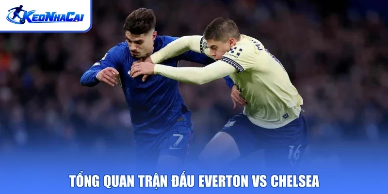 Tổng quan trận đấu Everton vs Chelsea