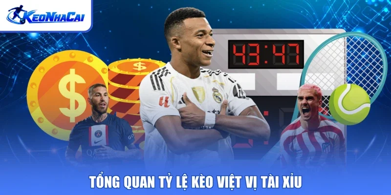 Tổng quan tỷ lệ kèo việt vị tài xỉu